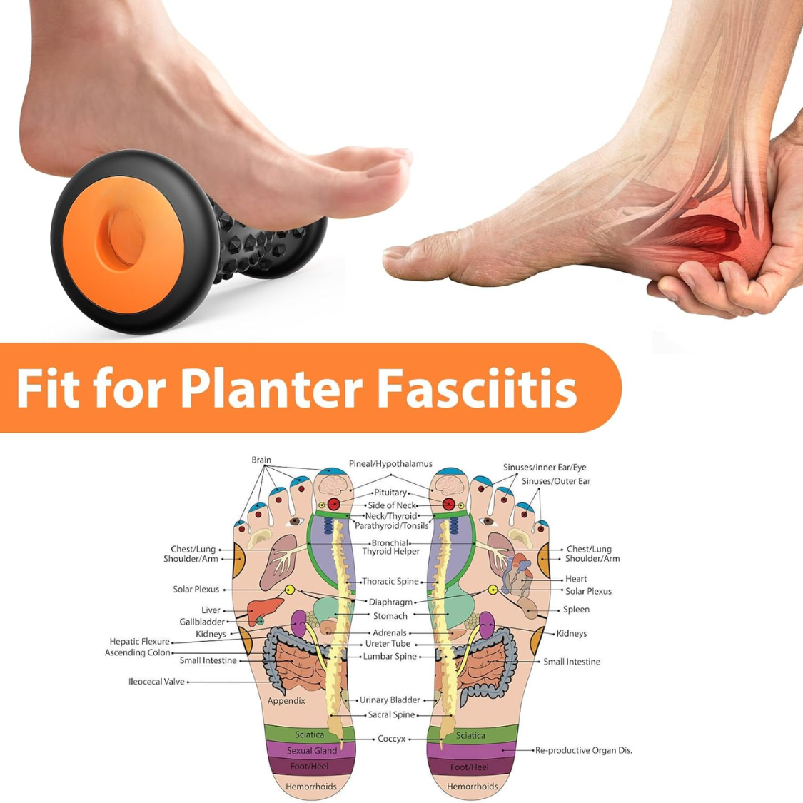 Foot Massager Roller For Plantar Fasciitis Relief Portable Deep Tissue Muscle Massage Foot Arch And Heel Pain Reflexology Tool - View 4